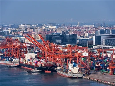 Overview Of Port Fixed Cranes