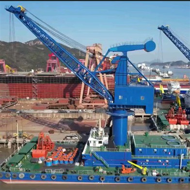 70T39M Floating Crane